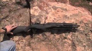 Springfield M1A SOCOM II - "The Beast"