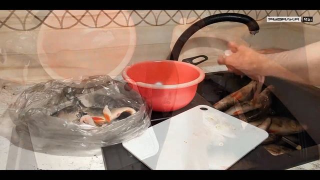 Как быстро и без грязи почистить окуня. Как быстро почистить рыбу
