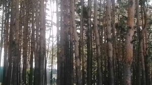 База отдыха ЧИЖИК (Превью)
