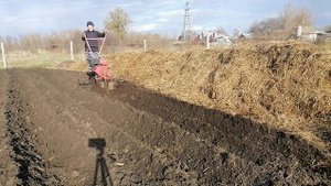 мотоблок, делаю ряды сохой, заднем ходом.