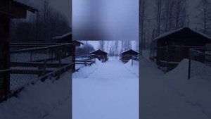 Второй ВЛОГ: Санаторий в Старой Руссе. День 2