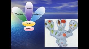 Microbiología: estructura general de virus, hongos y parásitos.