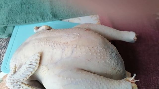 Забой голошейки несушки мясо-яичной породы. Вес тушки голошейной курицы в 2 года. Цветной бройлер.