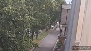 Пожарный Урал едет с сиреной на вызов. АЦ 3,0-40. СГУ Элина Сапфир