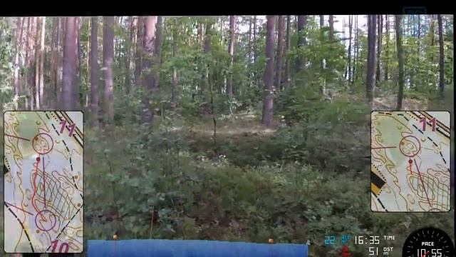 LATVIA O-WEEK (World Orienteering Championships 2018) Forest Sprint - Brīvdabas Muzejs (Rīga) смотреть онлайн