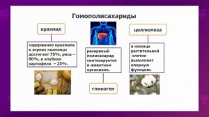 Биология. 10 класс. Классификация углеводов. Химическая структура /07.09.2020/