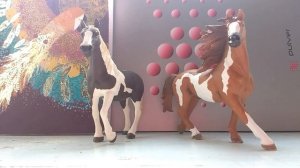 Обзор на всех моих лошадей schleich/ Шляйх с жеребятами (без пони)