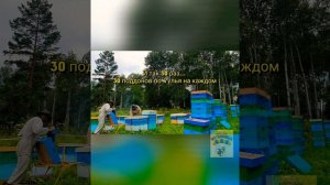 Снимаем 240 медовых магазинов за 8 часов (6 тонн). Пасека Матюшкиных.