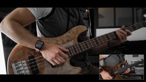 Butterfly Crazy Town A.O.T.B Cover by The Frenchy bass Player