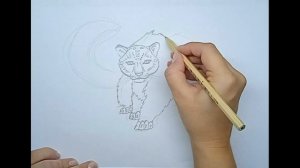 Как нарисовать снежного барса \\ how to draw a snow leopard