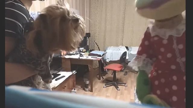 Лучшая Лягушка Видеоблогер смотреть онлайн