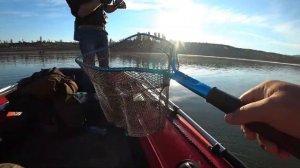 Осенняя активность щуки и рыбалка на Белогорском водохранилище
