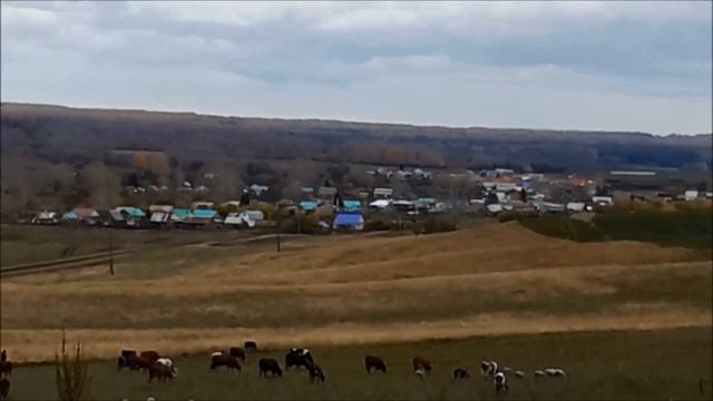 Вот это находки радующие глаз. Приборный поиск в Башкирии.Металлоискатель Whites TreasureMaster.