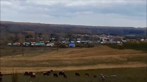 Вот это находки радующие глаз. Приборный поиск в Башкирии.Металлоискатель Whites TreasureMaster.
