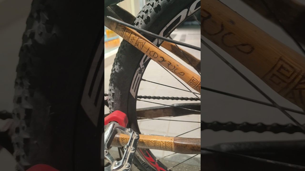 Bamboo bike in the Philippines ️⁉️ #филиппины #travel2024 #boracayisland #bike #travel #interesting смотреть онлайн