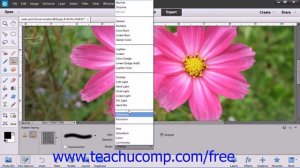 Photoshop Elements 12 Tutorial The Pattern Stamp Tools Adobe Training Lesson 13.15