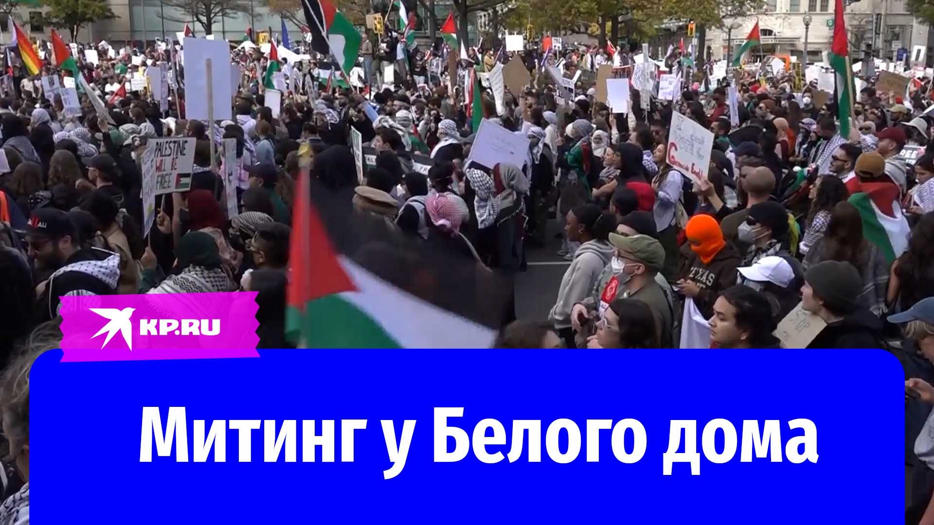 Митинг против военных действий Израиля у Белого дома