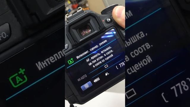 Фотоаппарат canon eos 600d смотреть онлайн