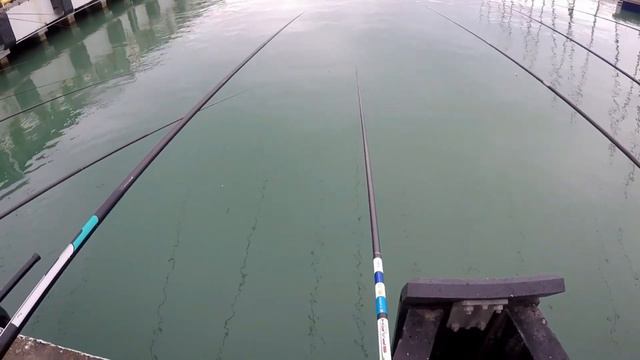 19.01.2019 ,Сочи морпорт,ловля кефали