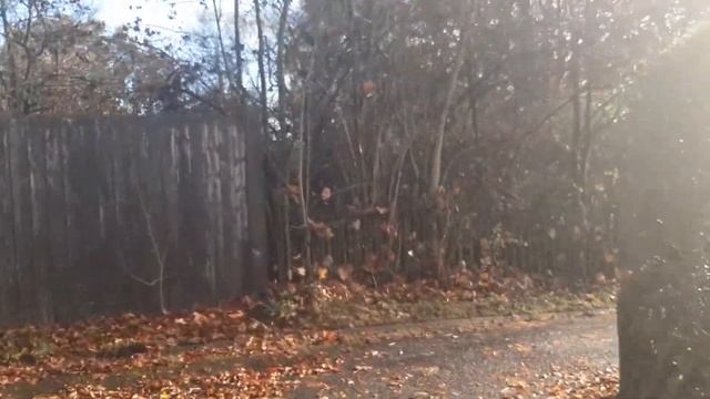 Верите в сказки о жизни в Европе? Как здесь купить дом . смотреть онлайн