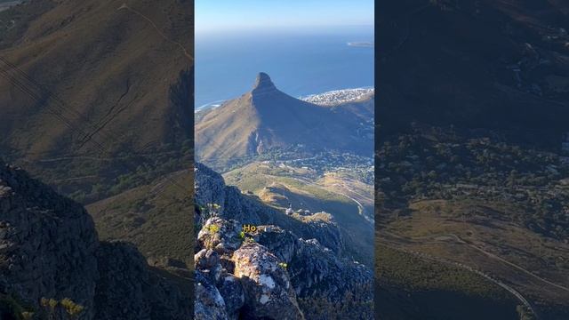 Столовая гора . Кейптаун.