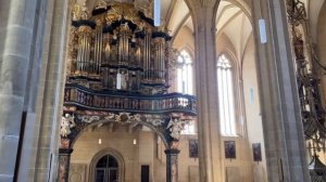 Еда в Германии! Поехали в Ерфурт! / АРИНА БЕЛАЯ