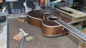 Ibanez AC340 OPN  | Serwis pozakupowy
