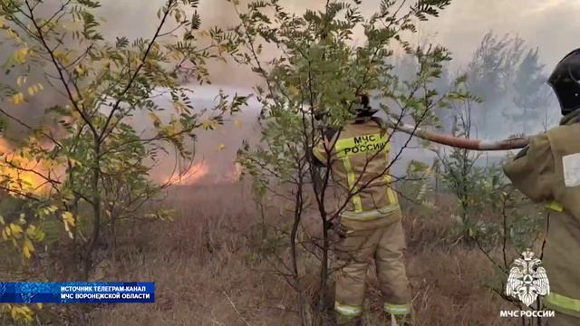 Для борьбы с пожарами в Воронежскую область прибывает авиация