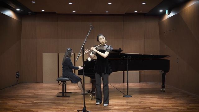 S.Mercadante_Flute Concerto in eminor Mov.1 смотреть онлайн