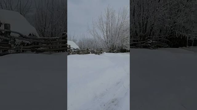 CRUNCH of snow underfoot sound. Virtual Forest Walk. Relax video. Vertical. Хруст снега под ногами смотреть онлайн