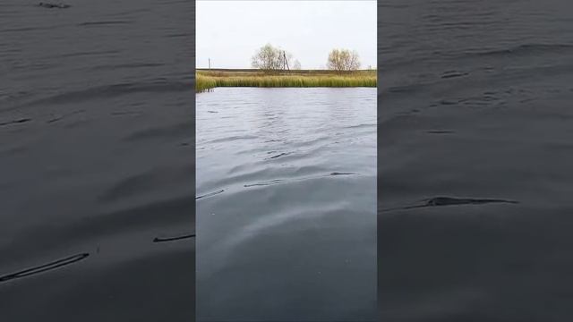 ЛУЧШИЙ ВОБЛЕР на ЩУКУ для ОСЕНИ!!! ??? #shorts #рыбалка #воблер смотреть онлайн