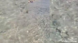 "Sunrise Montemare Resort -Grand Select " Шарм-эль-Шейх " пляж рыбки "