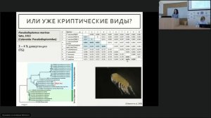 ИнБЮМ Школа-семинар-2020 Водясова Е.А. - Проблема подвидов в аспекте их морфологической и генетическ