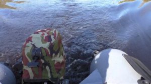 Mercury 9.9 Tohatsu 9.8 NS 9.8