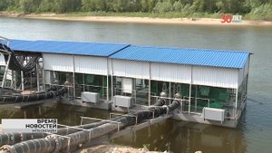 До 100 тысяч гектаров увеличат площадь орошаемых земель в Волгоградской области