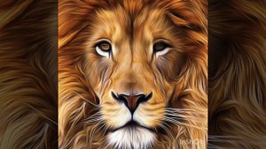 Ёри чангие ман (NEW HIT)