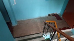 😼 Кот ездить на лифте! Лифт Ecomaks (ЩЛЗ-2018 г.в.) Q=400 кг, V=1 м/с