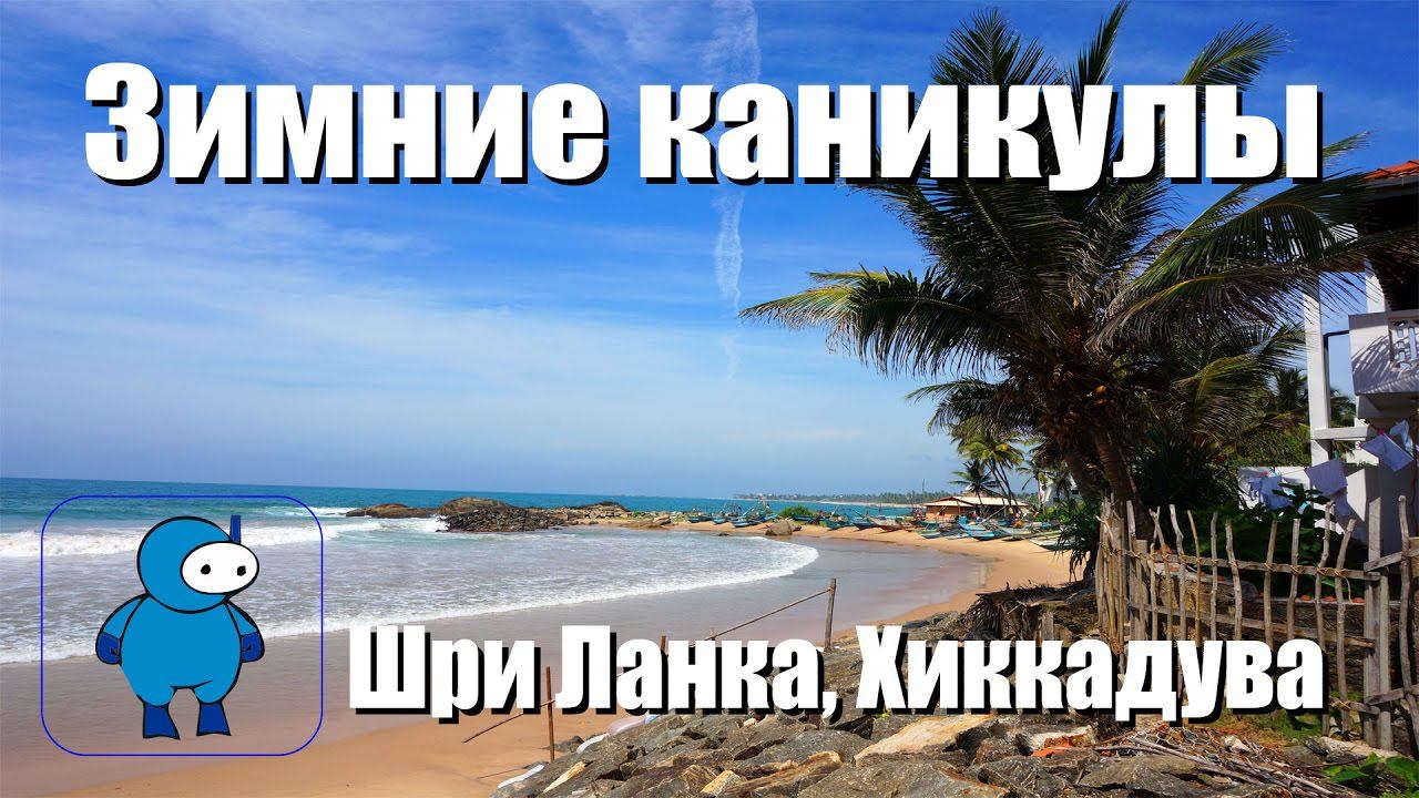 Лето зимой - каникулы на Шри Ланке смотреть онлайн