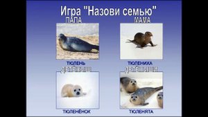 Познание, развитие речи "Путешествие на север", воспитатель Евсеева Н.А.