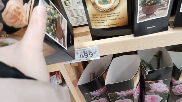 В магазине Ашан появились саженцы цветов. Розы, пионы, хосты, гортензии. Январь 2022 смотреть онлайн