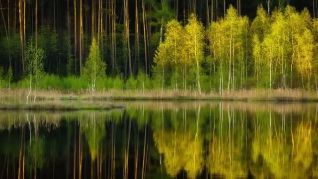 Подробный разбор симптомов тщеславия и гордости. Священник Александр Ельчанинов. смотреть онлайн