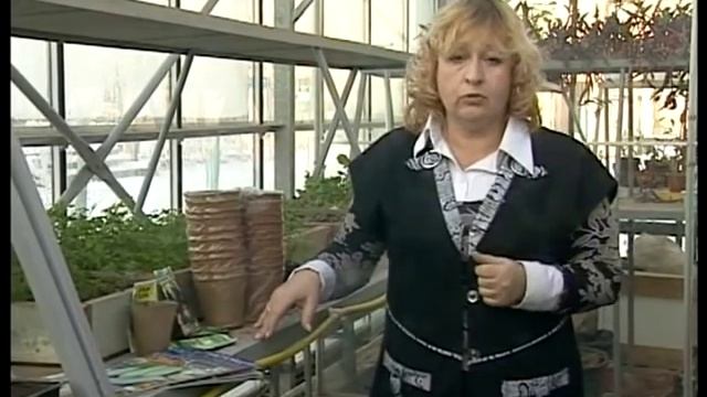 Баклажаны. Выращивание. Сорта. смотреть онлайн