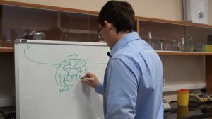 Трансляция. Часть 5. "Синтез белка на рибосомах"