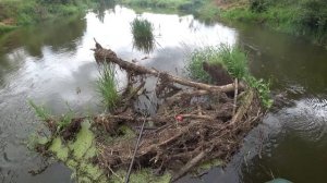 Классическая рыбалка на простую снасть: ИНЕРЦИОННАЯ КАТУШКА НЕЛЬМА, колебалки и вертушки.