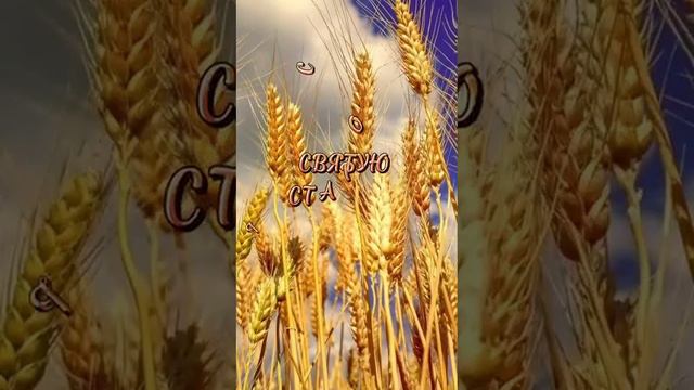 Храни вас бог смотреть онлайн