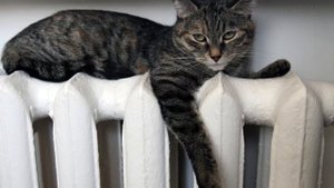 ЧТО ДЕЛАТЬ ЕСЛИ В КВАРТИРЕ ХОЛОДНО