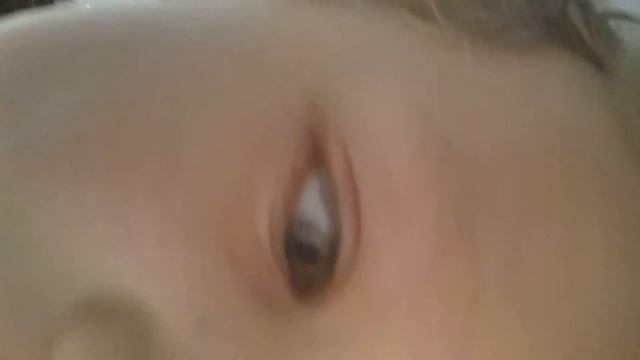 Зимний гербарий. смотреть онлайн