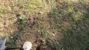 ПОИСК ЗОЛОТА и СЕРЕБРА В ЦЕНТРЕ ГОРОДА!!! КОП В ГОРОДСКОМ ПАРКЕ! Поиск монет 2023