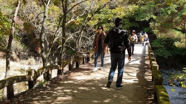 #южнаякорея Прогулка в национальном парке Южной Кореи Juwangsan national park  주왕