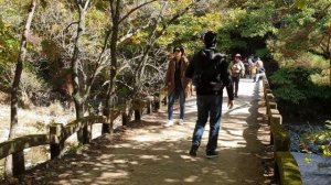 #южнаякорея Прогулка в национальном парке Южной Кореи Juwangsan national park 주왕